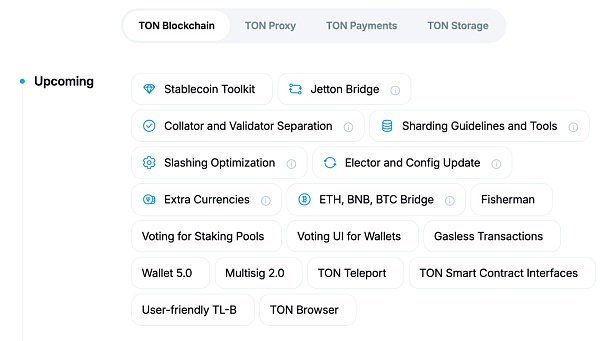 TON 链上 DeFi 生态系统的现状与未来展望